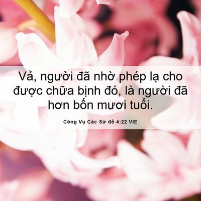 Picture 06 - Công Vụ Các Sứ đồ 4:22 VIE - Vả, người đã nhờ phép lạ cho được - Bible Verse Picture