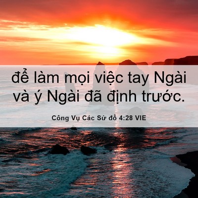 Picture 06 - Công Vụ Các Sứ đồ 4:28 VIE - để làm mọi việc tay Ngài và ý Ngài - Bible Verse Picture