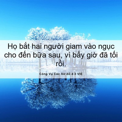 Picture 06 - Công Vụ Các Sứ đồ 4:3 VIE - Họ bắt hai người giam vào ngục cho - Bible Verse Picture