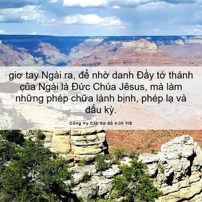 Picture 06 - Công Vụ Các Sứ đồ 4:30 VIE - giơ tay Ngài ra, để nhờ danh Đầy tớ - Bible Verse Picture