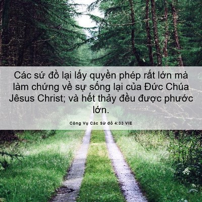 Picture 06 - Công Vụ Các Sứ đồ 4:33 VIE - Các sứ đồ lại lấy quyền phép rất - Bible Verse Picture