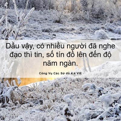 Picture 06 - Công Vụ Các Sứ đồ 4:4 VIE - Dầu vậy, có nhiều người đã nghe - Bible Verse Picture