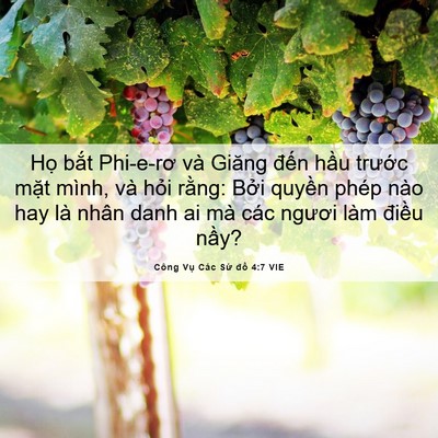 Picture 06 - Công Vụ Các Sứ đồ 4:7 VIE - Họ bắt Phi-e-rơ và Giăng đến hầu - Bible Verse Picture