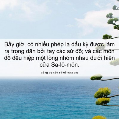 Picture 06 - Công Vụ Các Sứ đồ 5:12 VIE - Bấy giờ, có nhiều phép lạ dấu kỳ - Bible Verse Picture