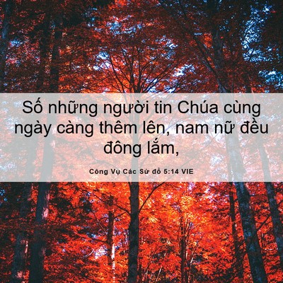 Picture 06 - Công Vụ Các Sứ đồ 5:14 VIE - Số những người tin Chúa cùng ngày càng - Bible Verse Picture
