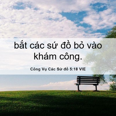 Picture 06 - Công Vụ Các Sứ đồ 5:18 VIE - bắt các sứ đồ bỏ vào khám - Bible Verse Picture