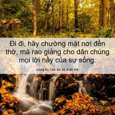 Picture 06 - Công Vụ Các Sứ đồ 5:20 VIE - Đi đi, hãy chường mặt nơi đền thờ, - Bible Verse Picture