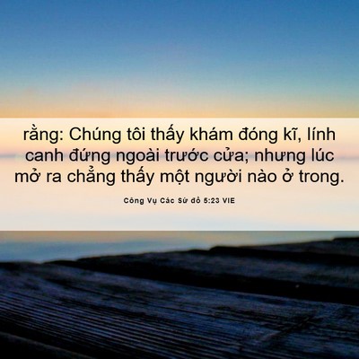 Picture 06 - Công Vụ Các Sứ đồ 5:23 VIE - rằng: Chúng tôi thấy khám đóng kĩ, - Bible Verse Picture