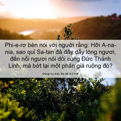 Picture 06 - Công Vụ Các Sứ đồ 5:3 VIE - Phi-e-rơ bèn nói với người rằng: Hỡi - Bible Verse Picture