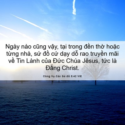 Picture 06 - Công Vụ Các Sứ đồ 5:42 VIE - Ngày nào cũng vậy, tại trong đền thờ - Bible Verse Picture