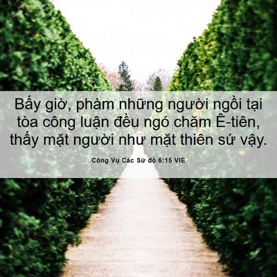 Picture 06 - Công Vụ Các Sứ đồ 6:15 VIE - Bấy giờ, phàm những người ngồi tại - Bible Verse Picture