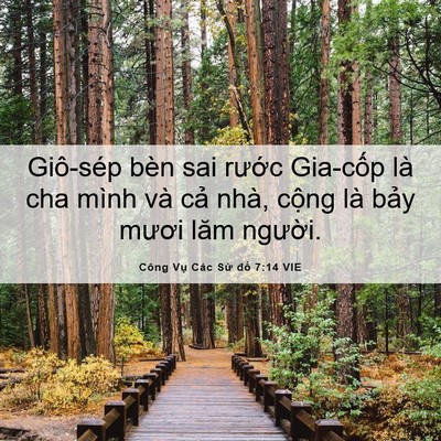 Picture 06 - Công Vụ Các Sứ đồ 7:14 VIE - Giô-sép bèn sai rước Gia-cốp là cha - Bible Verse Picture