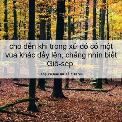 Picture 06 - Công Vụ Các Sứ đồ 7:18 VIE - cho đến khi trong xứ đó có một vua - Bible Verse Picture