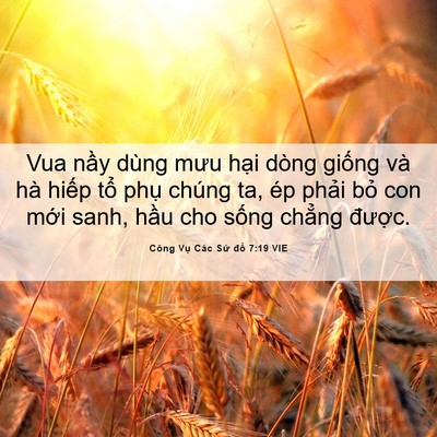 Picture 06 - Công Vụ Các Sứ đồ 7:19 VIE - Vua nầy dùng mưu hại dòng giống và hà - Bible Verse Picture