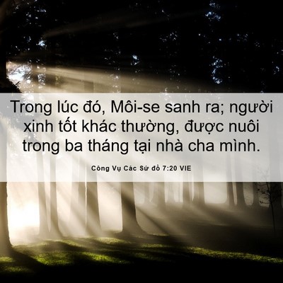 Picture 06 - Công Vụ Các Sứ đồ 7:20 VIE - Trong lúc đó, Môi-se sanh ra; người xinh - Bible Verse Picture