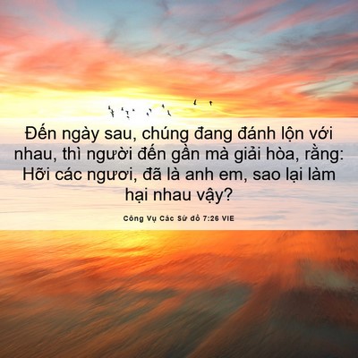 Picture 06 - Công Vụ Các Sứ đồ 7:26 VIE - Đến ngày sau, chúng đang đánh lộn với - Bible Verse Picture
