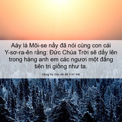 Picture 06 - Công Vụ Các Sứ đồ 7:37 VIE - Aáy là Môi-se nầy đã nói cùng con cái - Bible Verse Picture
