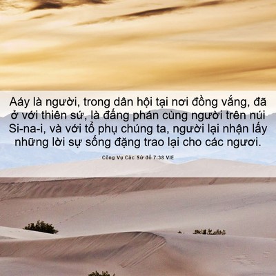 Picture 06 - Công Vụ Các Sứ đồ 7:38 VIE - Aáy là người, trong dân hội tại nơi - Bible Verse Picture
