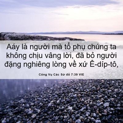 Picture 06 - Công Vụ Các Sứ đồ 7:39 VIE - Aáy là người mà tổ phụ chúng ta không - Bible Verse Picture