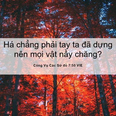 Picture 06 - Công Vụ Các Sứ đồ 7:50 VIE - Há chẳng phải tay ta đã dựng nên mọi - Bible Verse Picture