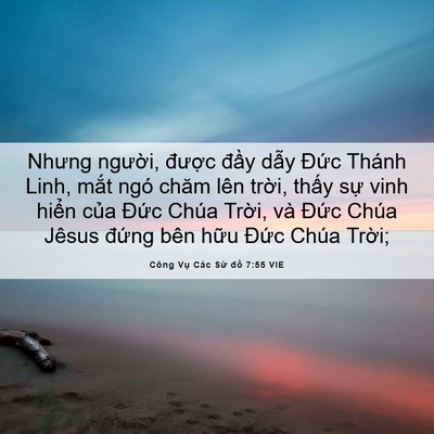 Picture 06 - Công Vụ Các Sứ đồ 7:55 VIE - Nhưng người, được đầy dẫy Đức - Bible Verse Picture
