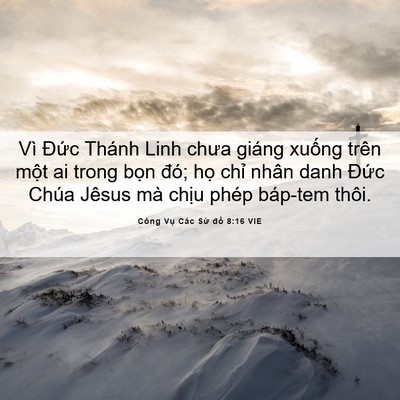 Picture 06 - Công Vụ Các Sứ đồ 8:16 VIE - Vì Đức Thánh Linh chưa giáng xuống trên - Bible Verse Picture