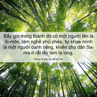 Picture 06 - Công Vụ Các Sứ đồ 8:9 VIE - Bấy giờ trong thành đó có một người - Bible Verse Picture