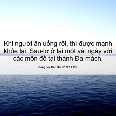 Picture 06 - Công Vụ Các Sứ đồ 9:19 VIE - Khi người ăn uống rồi, thì được - Bible Verse Picture