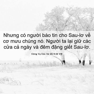 Picture 06 - Công Vụ Các Sứ đồ 9:24 VIE - Nhưng có người báo tin cho Sau-lơ về cơ - Bible Verse Picture