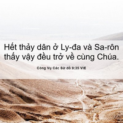 Picture 06 - Công Vụ Các Sứ đồ 9:35 VIE - Hết thảy dân ở Ly-đa và Sa-rôn thấy - Bible Verse Picture