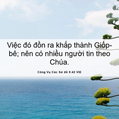 Picture 06 - Công Vụ Các Sứ đồ 9:42 VIE - Việc đó đồn ra khắp thành Giốp-bê; - Bible Verse Picture