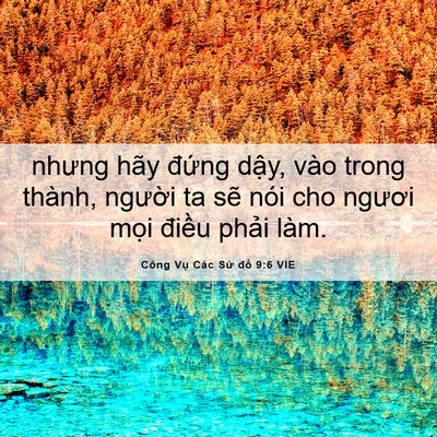 Picture 06 - Công Vụ Các Sứ đồ 9:6 VIE - nhưng hãy đứng dậy, vào trong thành, - Bible Verse Picture