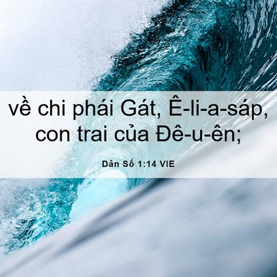 Picture 06 - Dân Số 1:14 VIE - về chi phái Gát, Ê-li-a-sáp, con trai của - Bible Verse Picture