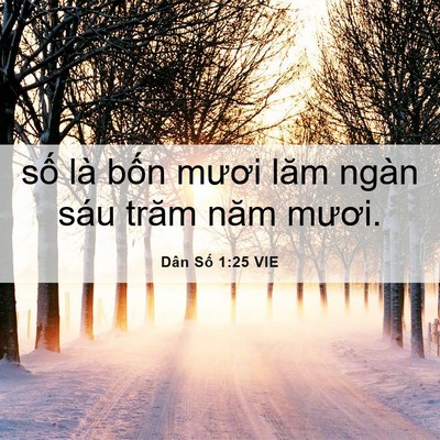 Picture 06 - Dân Số 1:25 VIE - số là bốn mươi lăm ngàn sáu trăm năm - Bible Verse Picture