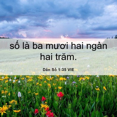Picture 06 - Dân Số 1:35 VIE - số là ba mươi hai ngàn hai - Bible Verse Picture