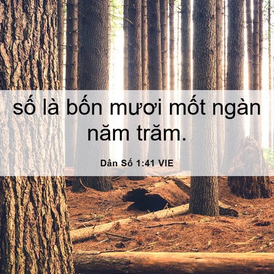 Picture 06 - Dân Số 1:41 VIE - số là bốn mươi mốt ngàn năm - Bible Verse Picture