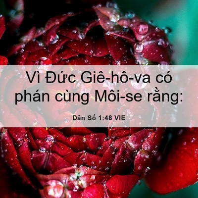 Picture 06 - Dân Số 1:48 VIE - Vì Đức Giê-hô-va có phán cùng Môi-se - Bible Verse Picture