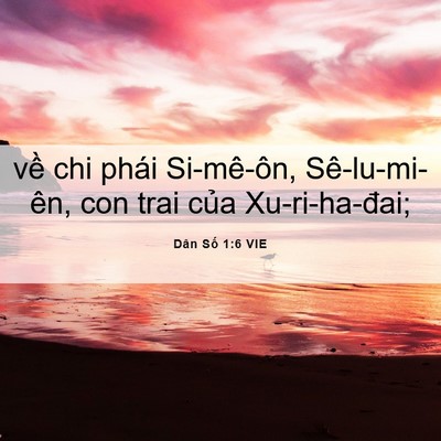 Picture 06 - Dân Số 1:6 VIE - về chi phái Si-mê-ôn, Sê-lu-mi-ên, con - Bible Verse Picture