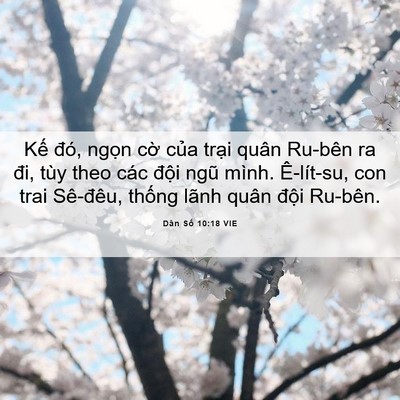 Picture 06 - Dân Số 10:18 VIE - Kế đó, ngọn cờ của trại quân Ru-bên - Bible Verse Picture