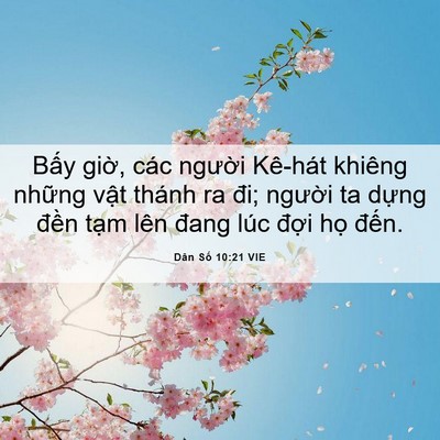 Picture 06 - Dân Số 10:21 VIE - Bấy giờ, các người Kê-hát khiêng - Bible Verse Picture