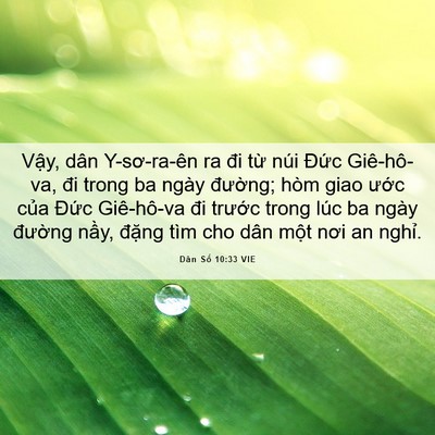 Picture 06 - Dân Số 10:33 VIE - Vậy, dân Y-sơ-ra-ên ra đi từ núi Đức - Bible Verse Picture