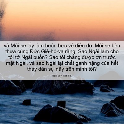 Picture 06 - Dân Số 11:11 VIE - và Môi-se lấy làm buồn bực về điều - Bible Verse Picture
