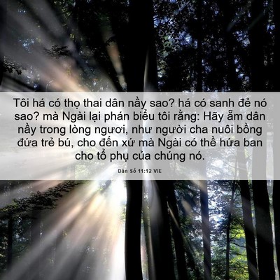 Picture 06 - Dân Số 11:12 VIE - Tôi há có thọ thai dân nầy sao? há có - Bible Verse Picture