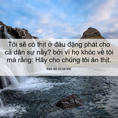 Picture 06 - Dân Số 11:13 VIE - Tôi sẽ có thịt ở đâu đặng phát cho - Bible Verse Picture