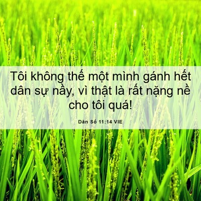 Picture 06 - Dân Số 11:14 VIE - Tôi không thế một mình gánh hết dân - Bible Verse Picture