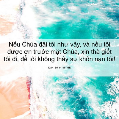 Picture 06 - Dân Số 11:15 VIE - Nếu Chúa đãi tôi như vậy, và nếu tôi - Bible Verse Picture