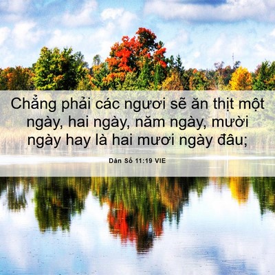 Picture 06 - Dân Số 11:19 VIE - Chẳng phải các ngươi sẽ ăn thịt một - Bible Verse Picture