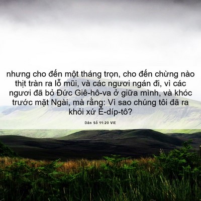 Picture 06 - Dân Số 11:20 VIE - nhưng cho đến một tháng trọn, cho đến - Bible Verse Picture