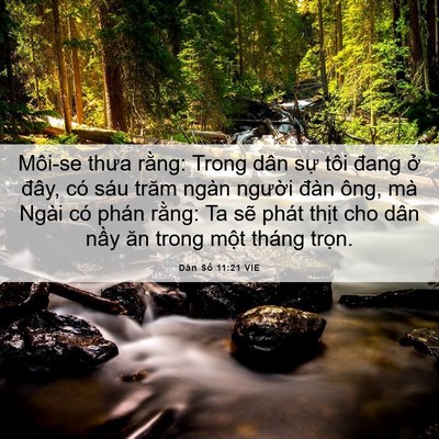 Picture 06 - Dân Số 11:21 VIE - Môi-se thưa rằng: Trong dân sự tôi đang - Bible Verse Picture