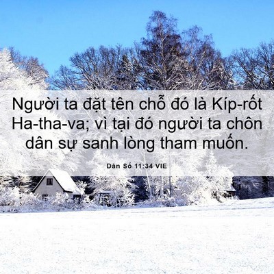 Picture 06 - Dân Số 11:34 VIE - Người ta đặt tên chỗ đó là Kíp-rốt - Bible Verse Picture
